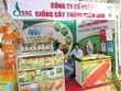 Công ty cổ phần Giống cây trồng miền Nam: Góc nhìn hàng tồn kho qua các “lăng kính”