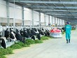 TP.HCM lập khu công nghiệp dành cho doanh nghiệp khởi nghiệp ứng dụng công nghệ cao