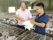 Ninh Bình: Quy mô, chất lượng tín dụng chính sách đều tăng