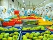 Xuất khẩu nông lâm thủy sản 7 tháng đạt 23 tỷ USD, nhiều mặt hàng chủ lực giảm mạnh