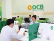 Chi phí vốn lớn, nhà băng từ chối giảm lãi vay