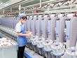 Doanh nghiệp dệt may tính chi ly thiệt hại nếu quy định chỉ làm việc 44 giờ/tuần