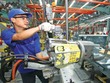 Luồng sinh khí mới cho nền kinh tế