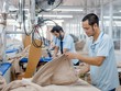 Xuất khẩu dệt may hoàn thành 64% kế hoạch năm 2019