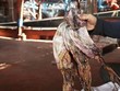 Nông sản Việt 'tắc' đường sang Trung Quốc