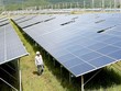 Đề xuất chính sách một giá cho điện mặt trời