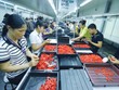 Nhiều doanh nghiệp phải khóc vì quy định vô lý