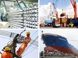 Thủ tướng sẽ chủ trì Hội nghị về đổi mới, nâng cao hiệu quả hoạt động của DNNN