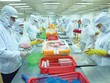 Tuân thủ quy định kém, nông sản xuất khẩu nhận điểm trừ