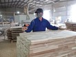 Việt Nam giữa vòng xoáy thương chiến Mỹ - Trung: Bài 2: Góc khuất gây bão tố