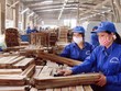Tính đến quý 3/2019, Gỗ Trường Thành (TTF) lỗ lũy kế hơn 2.600 tỷ đồng, tương đương 84% vốn điều lệ