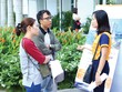 Chủ đầu tư cung vốn kích cầu nhà ở từ người thu nhập thấp