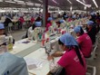 Dệt may Việt Nam thu hút gần 19,3 tỷ USD vốn ngoại sau 30 năm