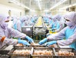 Doanh nghiệp xuất khẩu chạy đà cho năm mới
