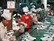 Adidas, Nike tiếp tục đến Việt Nam