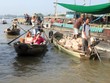 Thêm 1 tỷ USD cho Đồng bằng sông Cửu Long