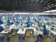 TNG: Doanh thu 2019 đạt 4.612 tỷ đồng, vượt 11% chỉ tiêu