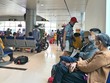 Du lịch và giao thông là những ngành chịu tác động trực tiếp từ dịch viêm phổi nCov