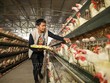 Trung Quốc cho phép nhập khẩu trở lại mặt hàng gia cầm từ Mỹ