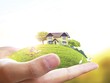 Nhà có trước hay cổng có trước?
