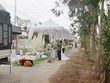 Phòng Covid-19, đám cưới cô dâu Việt, chú rể người Anh không mời đoàn khách từ Anh
