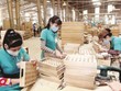 Hội đồng châu Âu thông qua thủ tục cuối cùng với EVFTA