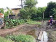 Nhiều “điểm mù” trong cấp sổ đỏ cho đất xen kẹt ở Hà Nội