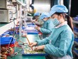 Rà soát, đánh giá toàn diện về tác động của COVID-19 tới kinh tế - xã hội