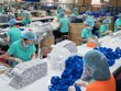 Doanh nghiệp dệt may mong sớm được tiếp sức