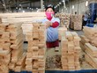 12 mặt hàng xuất khẩu có nguy cơ bị điều tra phòng vệ thương mại, chống lẩn tránh thuế