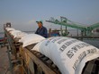 Lập Đoàn kiểm tra liên ngành nắm lượng gạo hàng hóa tại các cảng