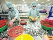 Nhức nhối những dấu âm tăng trưởng