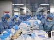 Việt Nam thu hơn 63 triệu USD từ xuất khẩu khẩu trang