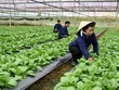Hà Nội kêu gọi đầu tư vào 11 dự án nông nghiệp