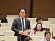Đưa hộ kinh doanh vào Luật Doanh nghiệp: Vẫn trái chiều quan điểm