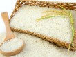 Dự báo tăng trưởng xuất khẩu nông sản khi EVFTA có hiệu lực