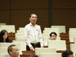 Có nên tăng cường đại biểu Quốc hội là chuyên gia?