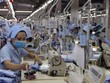 Gần 95% tập đoàn, tổng công ty gặp khó khăn do Covid-19