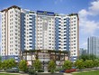 Hoàng Quân (HQC): Giá tăng mạnh, em Chủ tịch đăng ký bán 3,5 triệu cổ phiếu