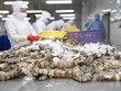 Minh Phú thay đổi kế hoạch kinh doanh 2020, từ lãi gấp 3 lần xuống giảm 30%