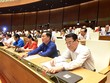 Đà Nẵng thí điểm chính quyền đô thị, cấp quận, phường không còn Hội đồng Nhân dân