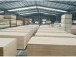 Gỗ dán xuất khẩu Việt Nam nỗ lực chứng minh nguồn gốc nguyên liệu tại Mỹ