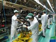 GDP quý II tăng trưởng 0,36%, 6 tháng là 1,81%, thấp nhất 10 năm