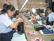 Xuất khẩu đừng quên CPTPP