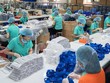 Doanh nghiệp Israel muốn nhập khẩu khẩu trang và đồ bảo hộ y tế từ Việt Nam