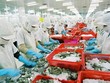 Xuất khẩu 5 tháng cuối năm còn lắm mối lo