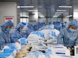 Khảo sát về thực trạng doanh nghiệp trong đợt dịch bùng phát lần 2