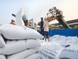 Vượt Thái Lan, giá gạo xuất khẩu của Việt Nam cao nhất thế giới
