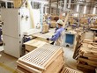 Từ 1/10/2020, triển khai nhiều dịch vụ công trực tuyến về xuất nhập khẩu