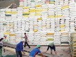 Hàng Việt xuất ngoại: Không có thị trường nào dễ tính